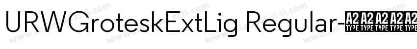 URWGroteskExtLig Regular字体转换